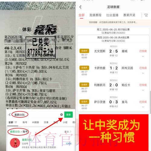 世界杯博彩平台的用户评价与满意度调研